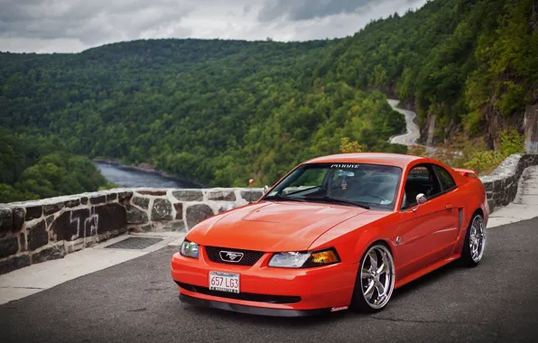 View, mustang, Mustang, red, Cobra, ford, Ford, muscle
