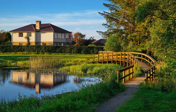 Picture pond, morning, Norway, house, the bridge, Haugesund