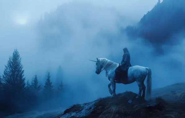 Forest, mountains, night, fog, rocks, horse, horse, people