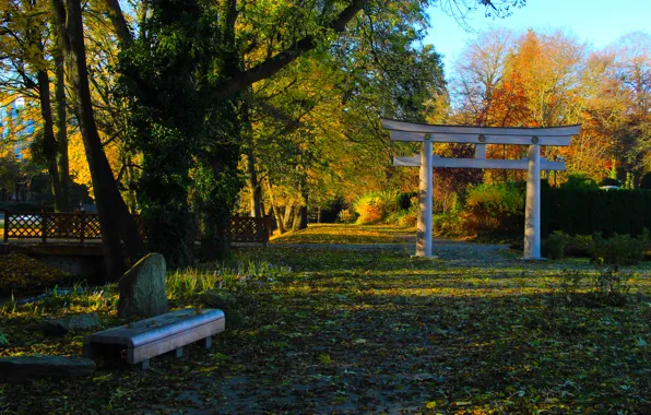 Japan, park, autumn, garden