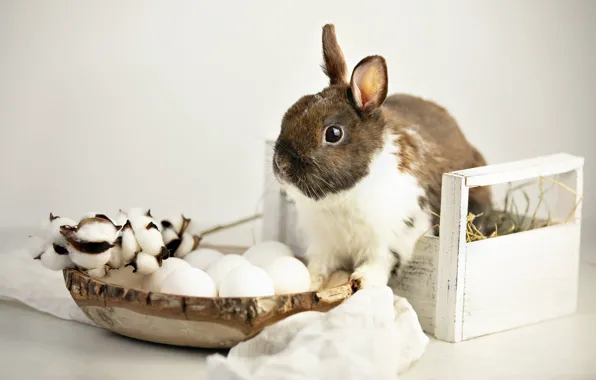 Table, holiday, eggs, spring, rabbit, Easter, fabric, straw