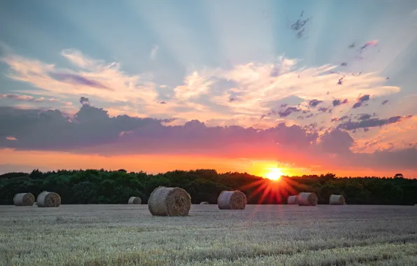 Field, forest, summer, the sky, the sun, clouds, rays, light