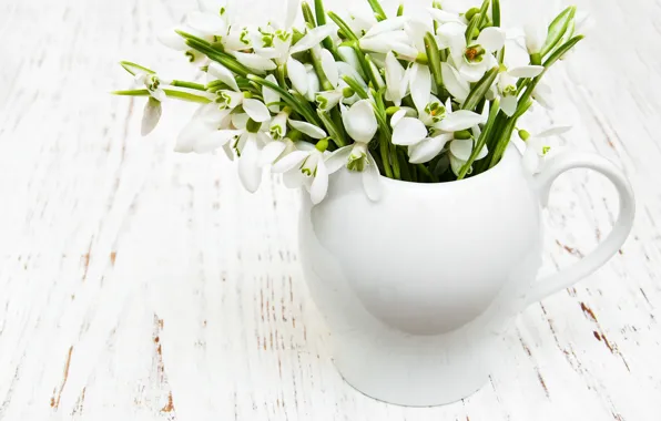 Flowers, bouquet, snowdrops, white, white, flowers, spring, snowdrops