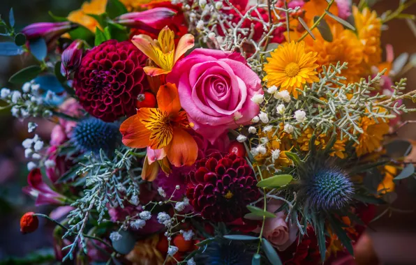 Flowers, bright, roses, bouquet, red, pink, orange, a lot
