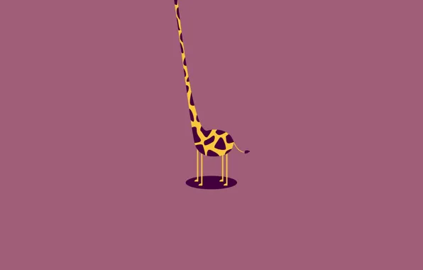 Torso, giraffe, neck, headless