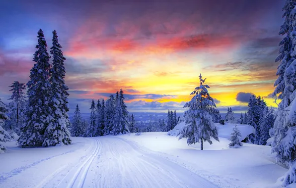 Picture winter, road, forest, the sky, clouds, snow, trees, sunset