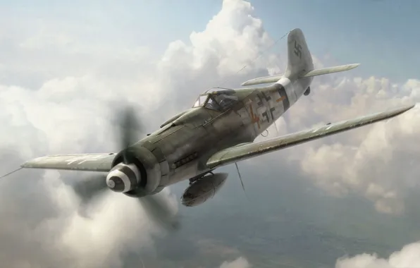 Picture aircraft, war, airplane, aviation, ww2, dogfight, german aircraft, fw 190