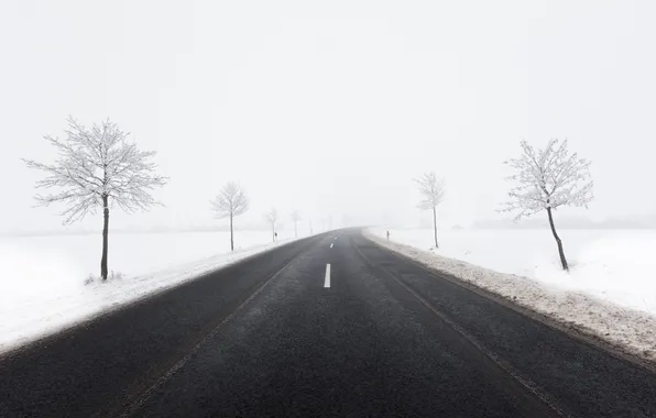 Winter, road, snow, trees, fog