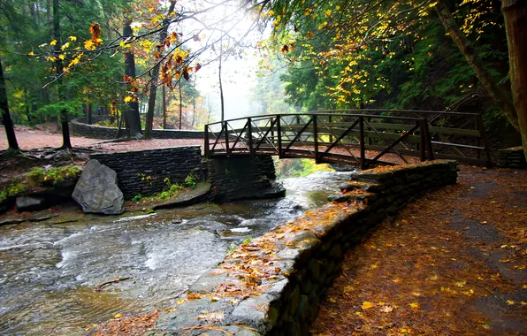 Picture autumn, trees, bridge, Park, stream