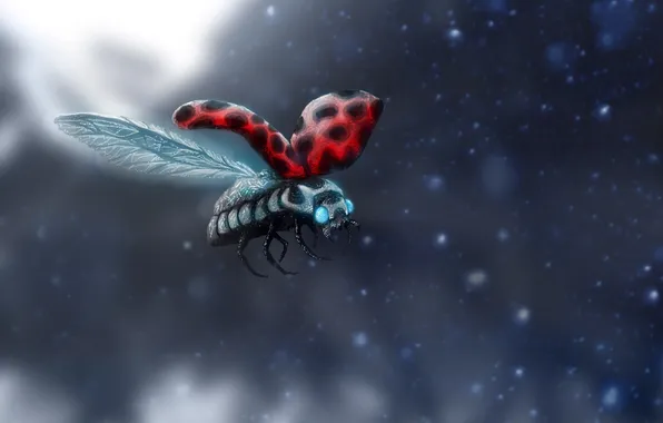 Snow, flight, ladybug, art, insect, mutant, romance of the Apocalypse, romantically apocalyptic