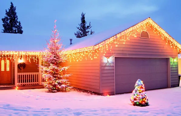 Picture decoration, new year, home, Santa