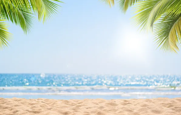 Sand, sea, wave, beach, summer, the sky, the sun, palm trees
