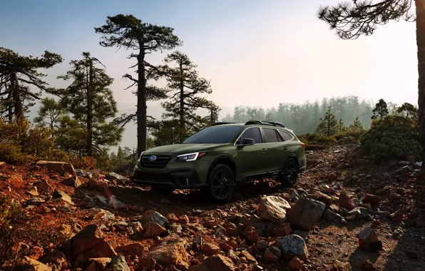 Picture trees, stones, Subaru, universal, Outback, AWD, 2020