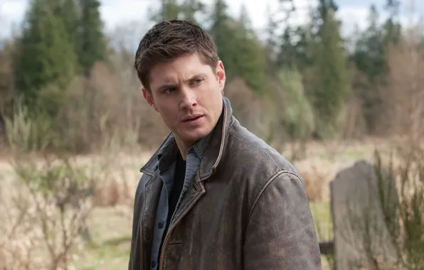 Picture male, supernatural, supernatural, jensen ackles, Dean Winchesner