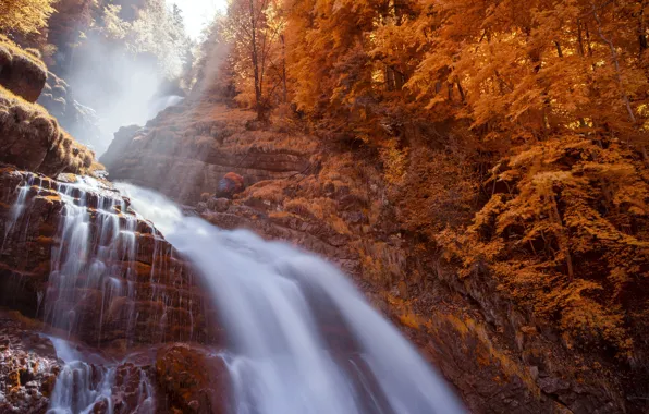 Autumn, forest, light, fog, rocks, waterfall, stream