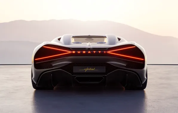 Bugatti, Roadster, rear view, hypercar, 2024, W16 Mistral