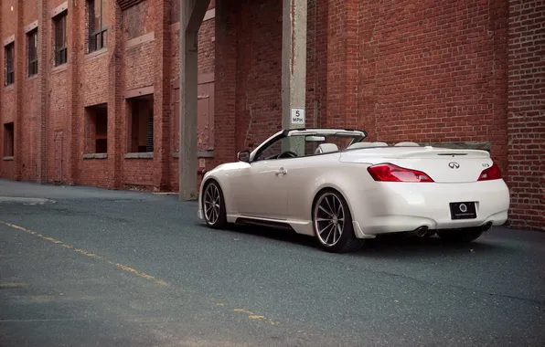 Road, the building, convertible, tail lights, Infiniti g37