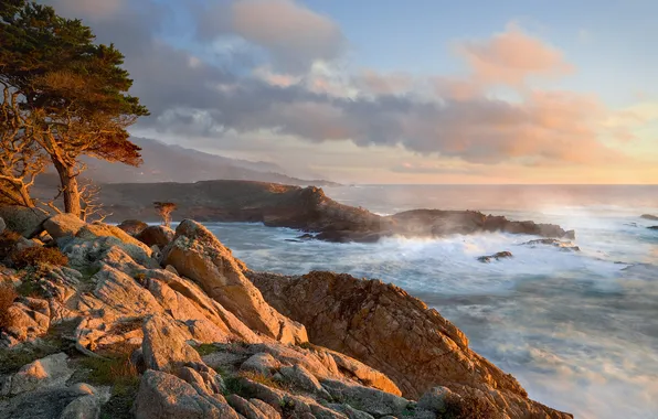 Picture shore, surf, CA