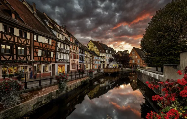 Trees, flowers, clouds, the city, France, home, the evening, channel