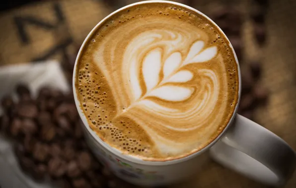 Foam, pattern, coffee, grain, mug, Cup, white, drink