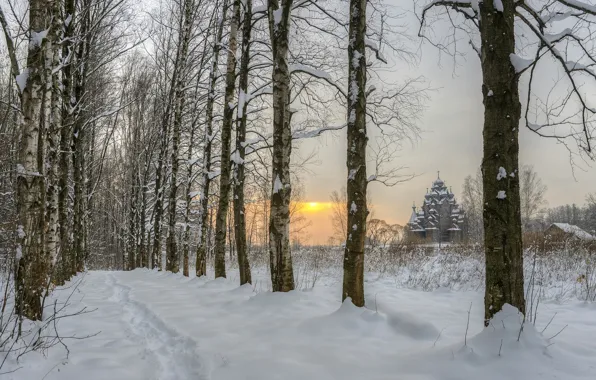 Church, alley, Leningrad oblast