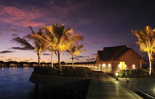 Palm trees, the ocean, the evening, resort, Laguna