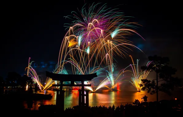 Picture lights, new year, night, fireworks, Asia, pines, torii