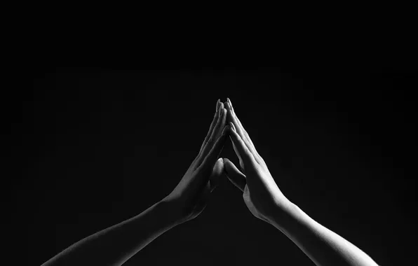 Picture hands, black background, touch