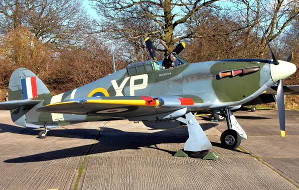 Picture fighter, British, multipurpose, WW2, Hawker, Hurricane IIB