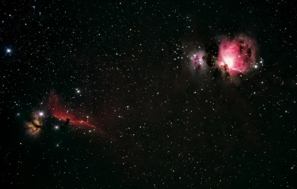 Space, stars, Orion, Horsehead