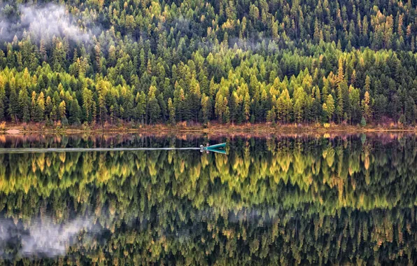 Picture forest, water, trees, landscape, nature, reflection, boat