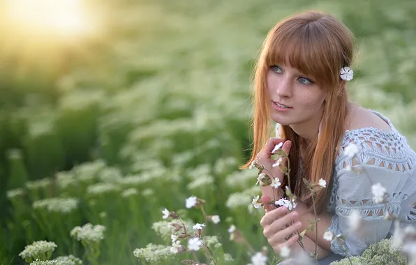 Picture girl, light, nature