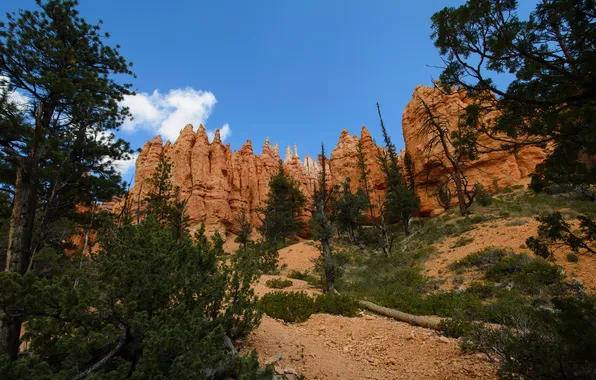 Picture the sky, trees, mountains, nature, rocks, slope, top, peak