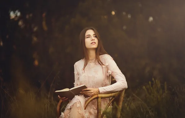 Picture autumn, forest, look, girl, nature, chair, dress, book