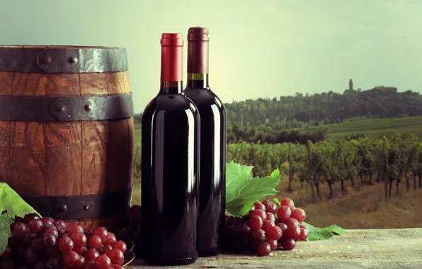 Field, leaves, landscape, wine, Board, bottle, grapes, vineyard