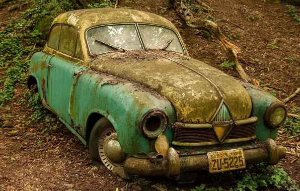 Forest, abandoned, rust, old, car