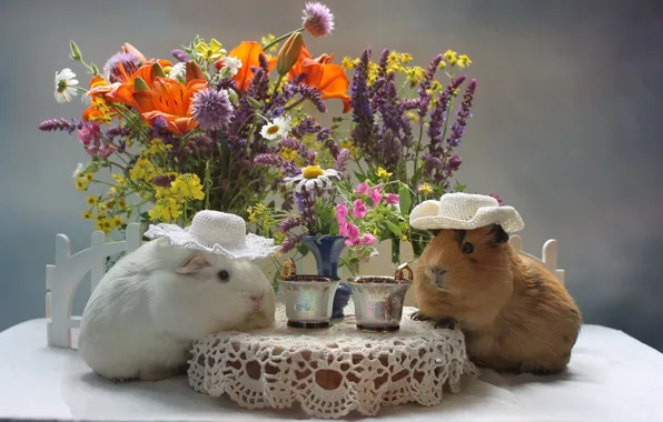 Flowers, bouquet, pair, Guinea pigs