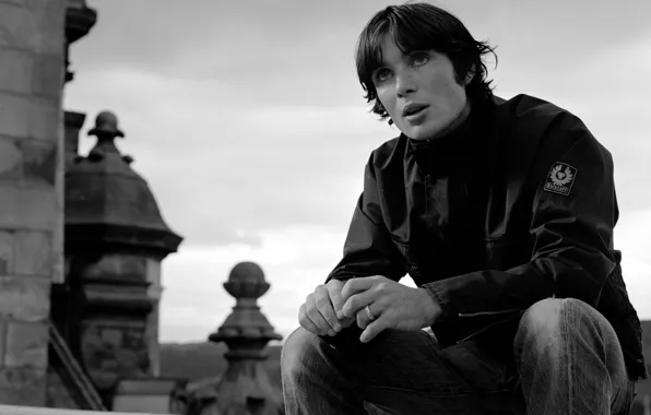 Photo, black and white, actor, guy, picture, Cillian Murphy, Cillian Murphy