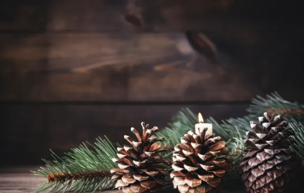 Branches, the dark background, tree, Board, candle, Christmas, New year, needles
