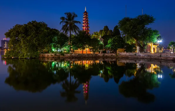 Water, trees, night, lights, lake, reflection, palm trees, lights