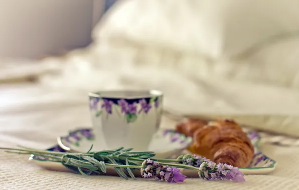 Macro, flowers, Cup