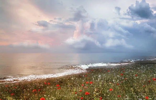 Picture sea, clouds, flowers, surf