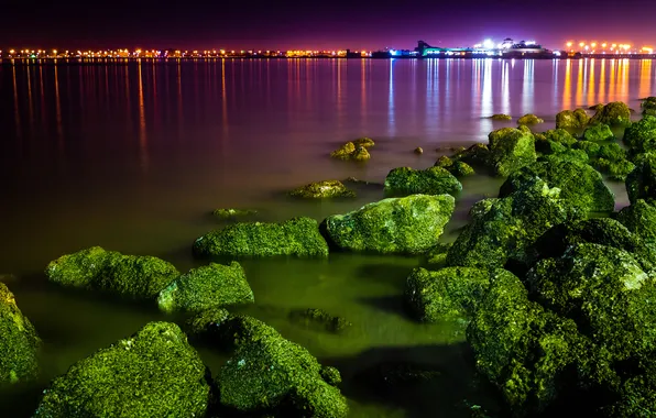 Algae, night, the city, lights, stones, port, Bay