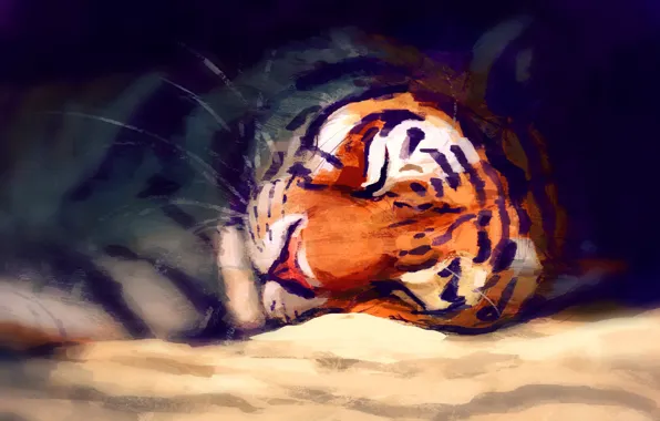 Tiger, sleeping, by Meorow