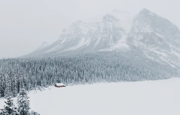 Winter, forest, snow, mountains, Alberta, Lake Louise, Canada