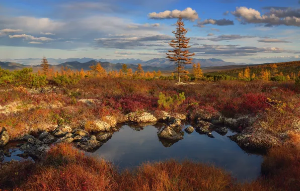 Autumn, landscape, mountains, nature, stones, vegetation, pond, Kolyma