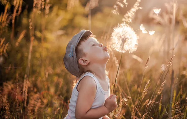 Picture summer, dandelion, boy