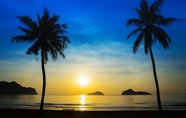 Picture sea, beach, summer, sunset, palm trees, shore, silhouette, summer, beach, sea, sunset, seascape, beautiful, paradise, …