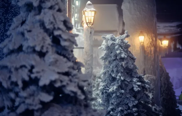 Picture winter, snow, trees, nature, lantern