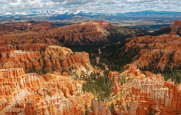 The sky, clouds, trees, mountains, stones, rocks, canyon, panorama